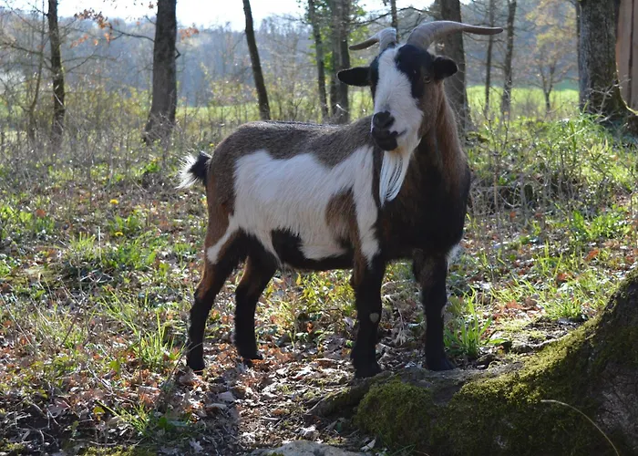 بيت للعطل L'atelier - Proche Sarlat Jayac